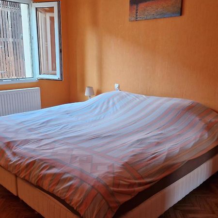 Appartement Le Grillenbreit Colmar Exterior photo